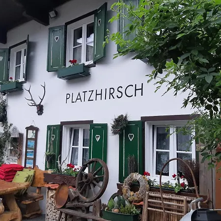 Platzhirsch zur alten Wagnerei Gästehaus-2